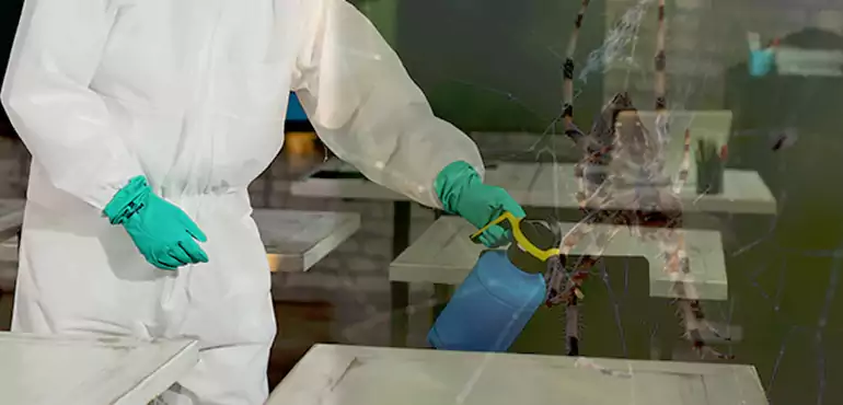 Why Buyers Still Want Homes With Pest Infestations in Orlando, FL?
