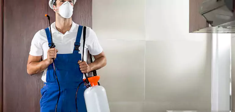 Why Orlando Homeowners Choose Us When Pests Make Selling Difficult